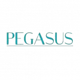 Pegasus - profesjonalne akcesoria fryzjerskie